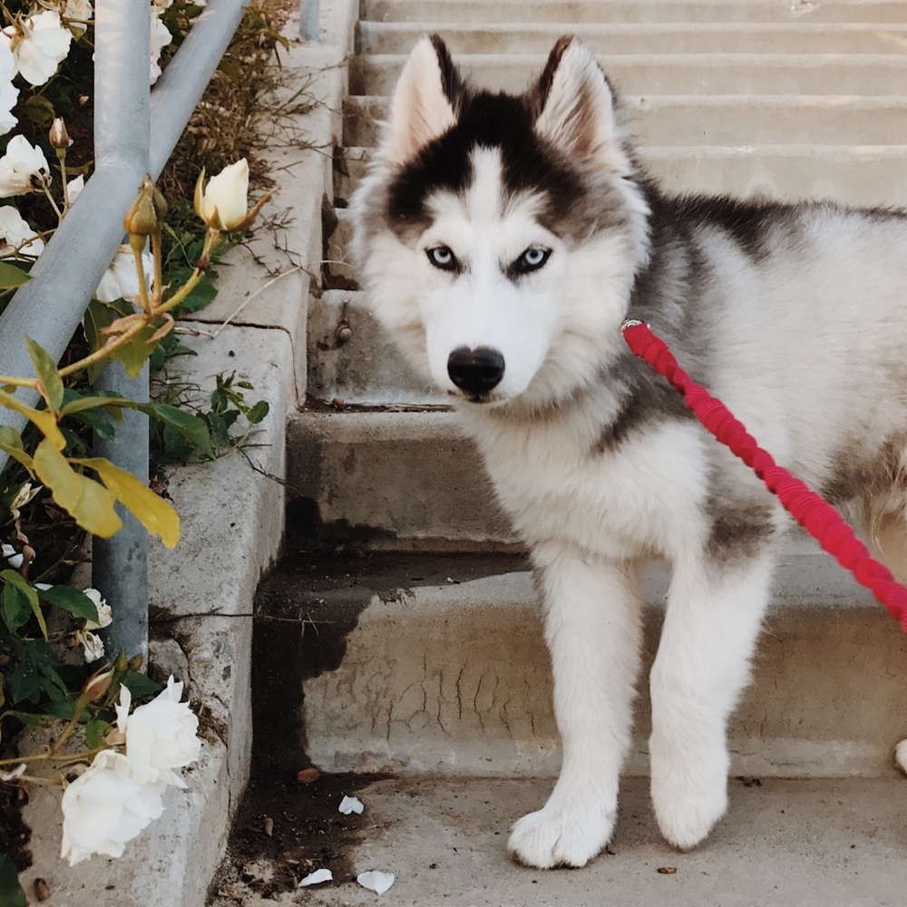 Meet your Posher, Michelle